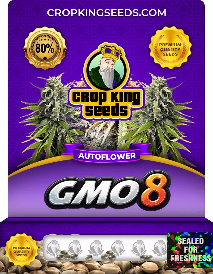 GMO 8 Autoflowering Feminized Marijuana Seeds