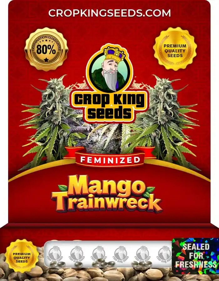 Mango Trainwreck Feminized Seeds