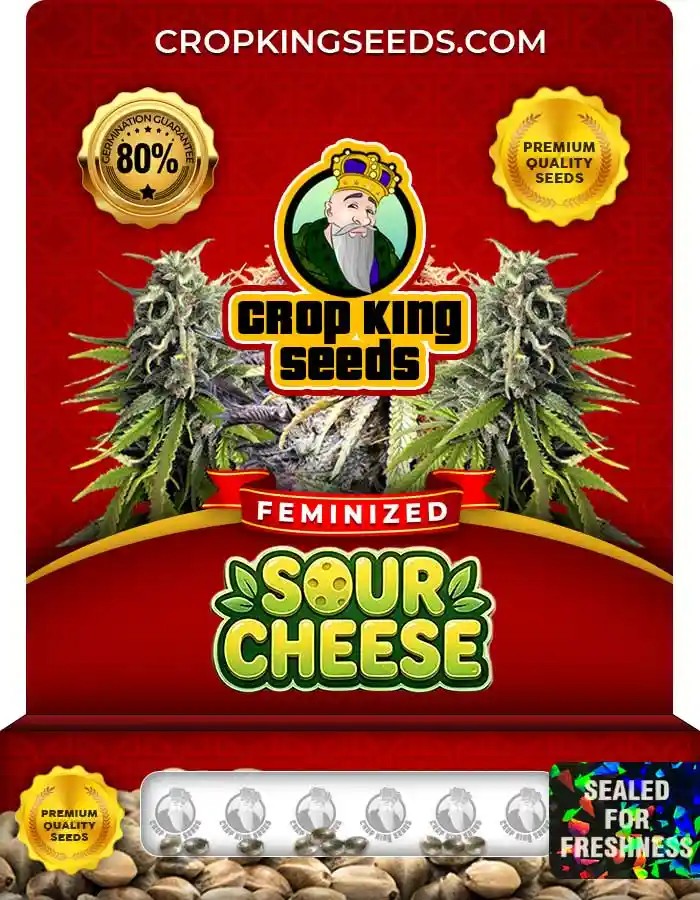 Sour Cheese Feminized Seeds
