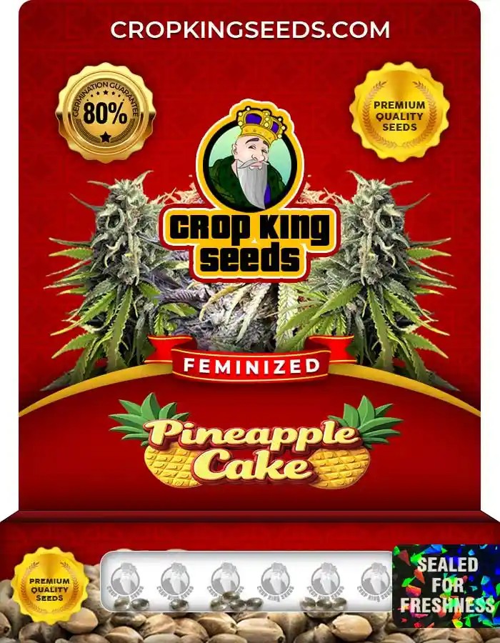 Pineapple Cake Strain Feminized Marijuana Seeds