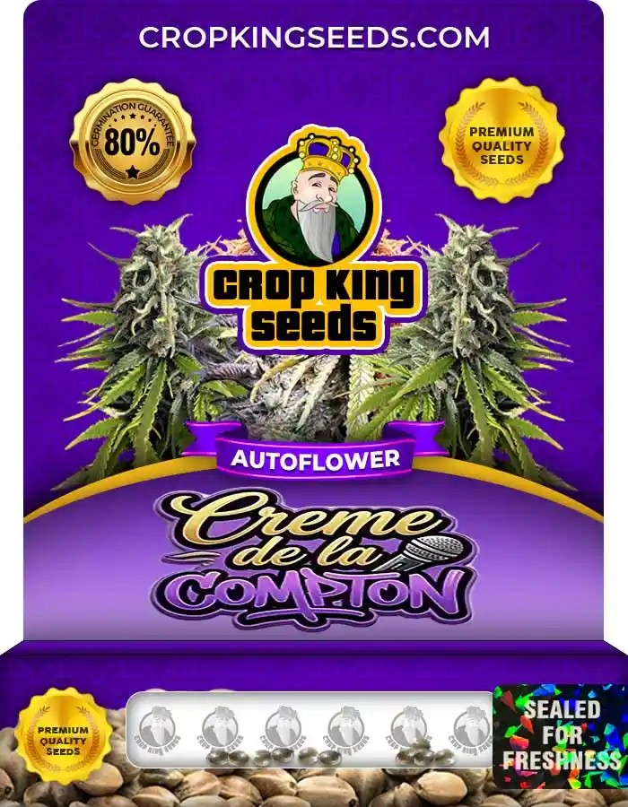 Crème de la Compton Autoflower Seeds