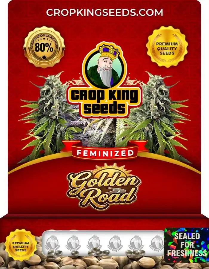 Golden Road Feminized Seeds