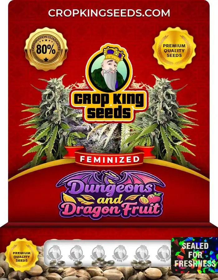 Dungeons and Dragon Fruit Strain Feminized Seeds