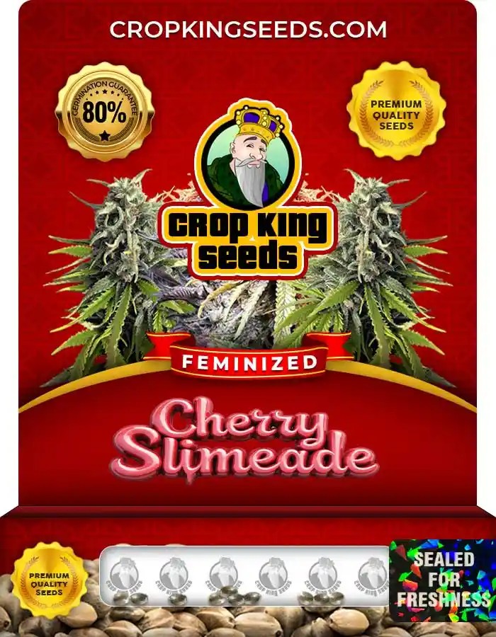 Cherry Slimeade Strain Feminized Marijuana Seeds