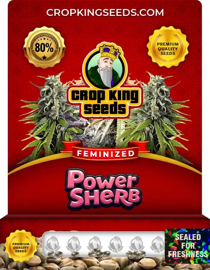Power Sherb Strain Feminized Seeds