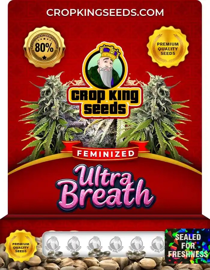 Ultra Breath Strain Feminized Seeds