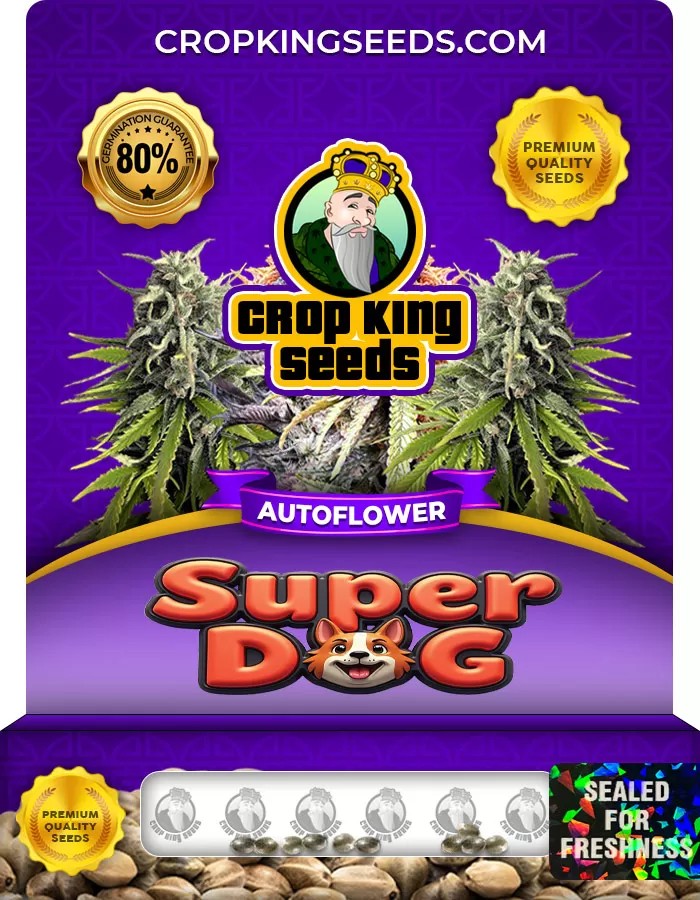 Super Dog Autoflower Marijuana Seeds