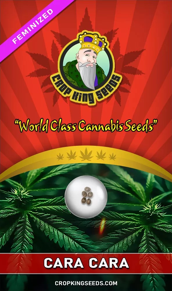 Cara Cara Feminized Seeds
