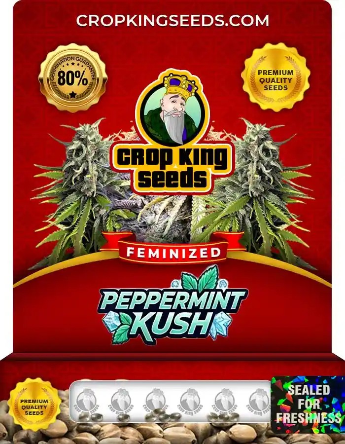 Peppermint Kush Feminized Seeds