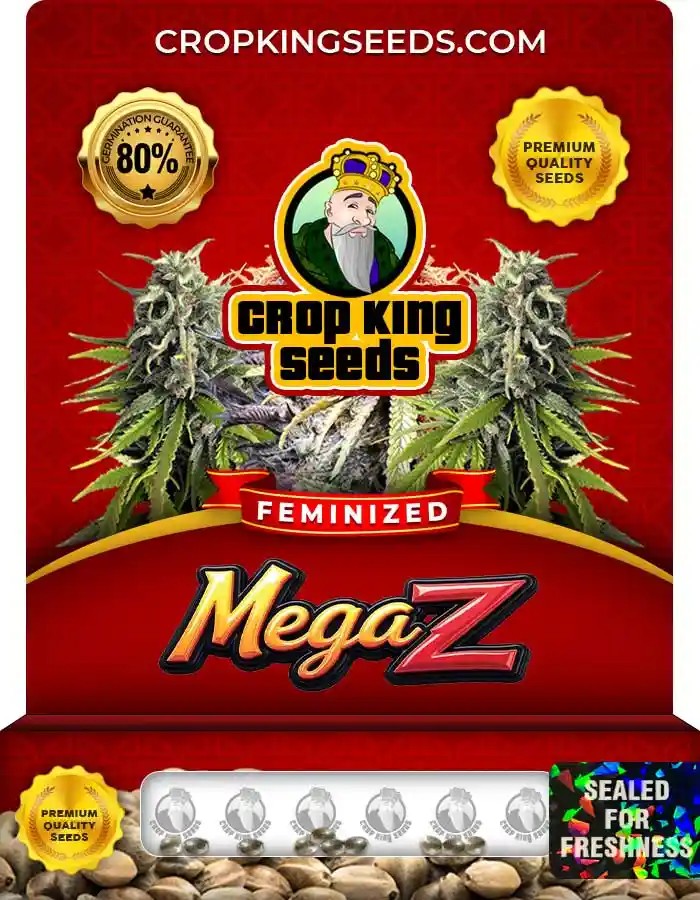 Mega Z Strain Feminized Marijuana Seeds