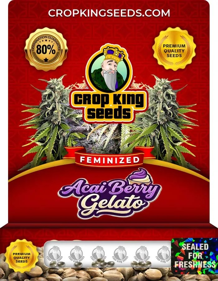 Acai Berry Gelato Strain Feminized Seeds