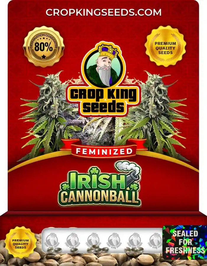 Irish Cannonball Feminized Seeds