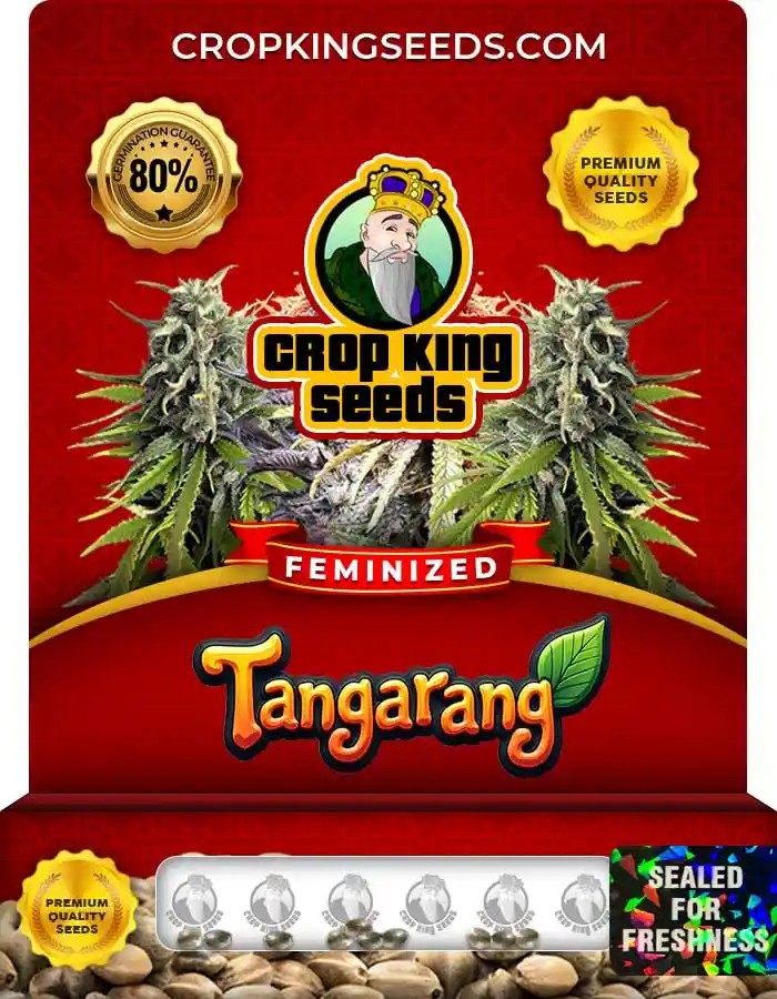 Tangarang Feminized Seeds