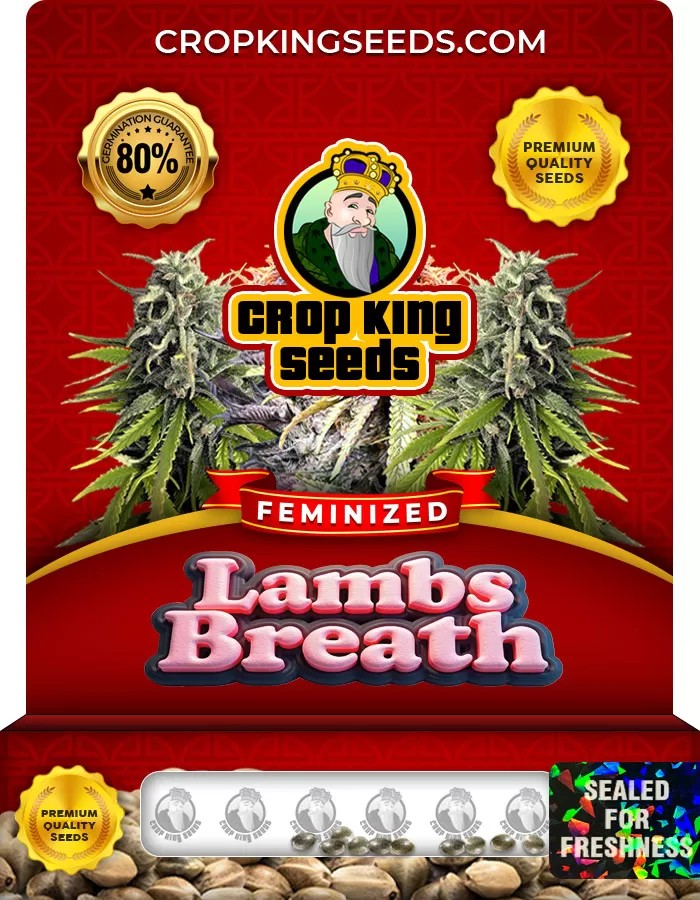 Lambs Breath Feminized Marijuana Seeds