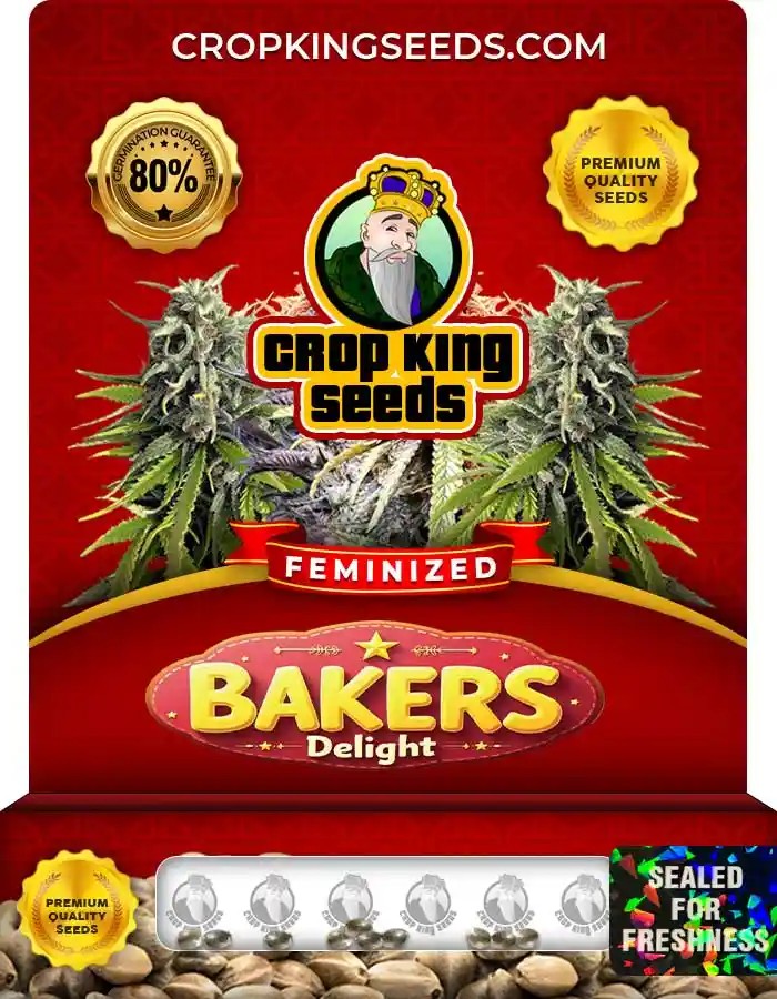 Bakers Delight Feminized Seeds