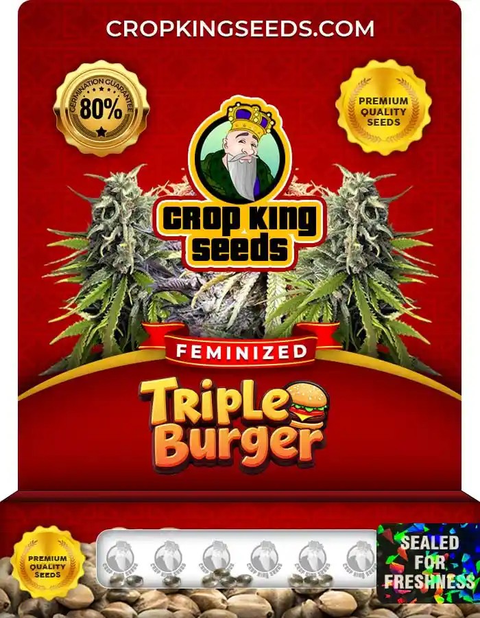Triple Burger Strain Feminized Marijuana Seeds
