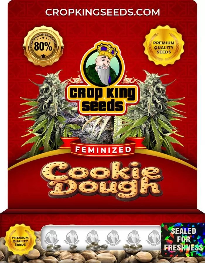 Cookie Dough Strain Feminized Marijuana Seeds