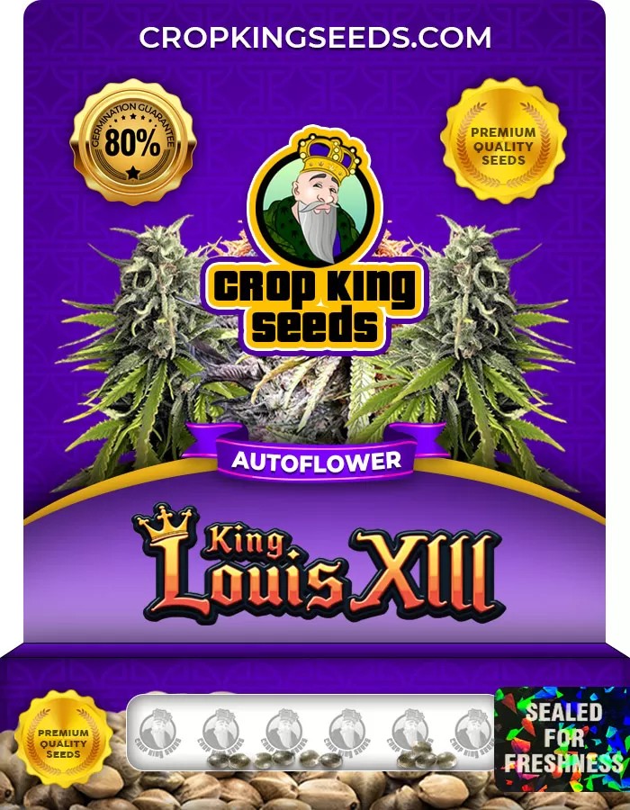 King Louis XIII Autoflower Marijuana Seeds