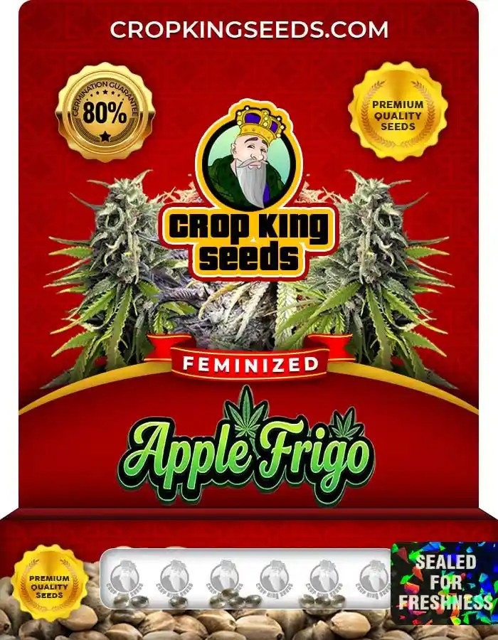 Apple Frigo Feminized Seeds