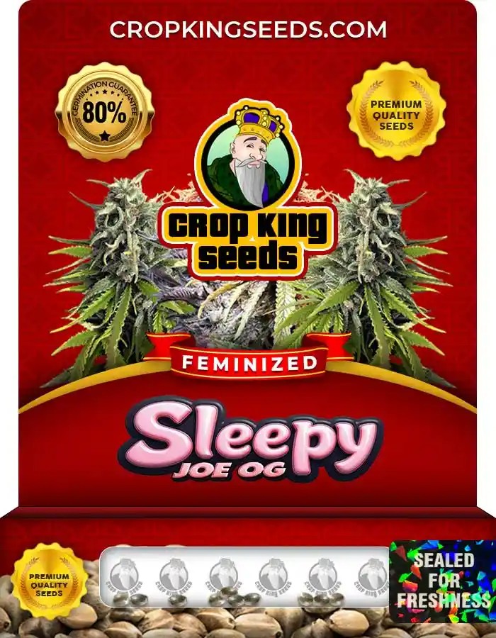 Sleepy Joe OG Feminized Seeds