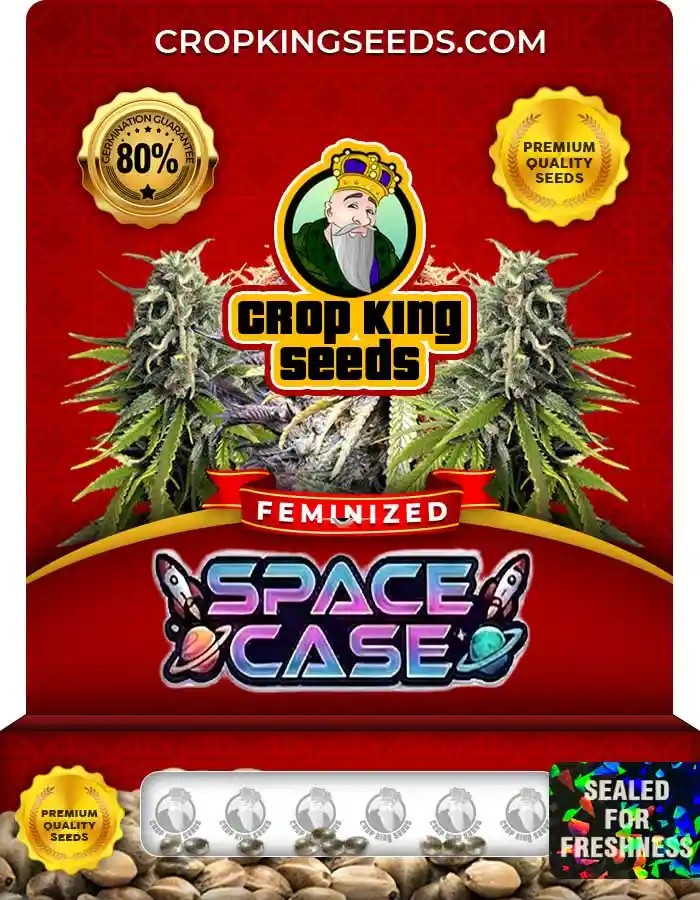 Space Case Strain Feminized Seeds