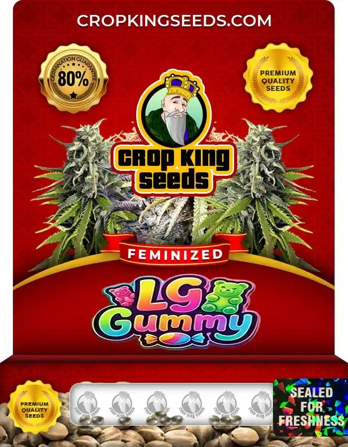 LG Gummy Strain Feminized Seeds