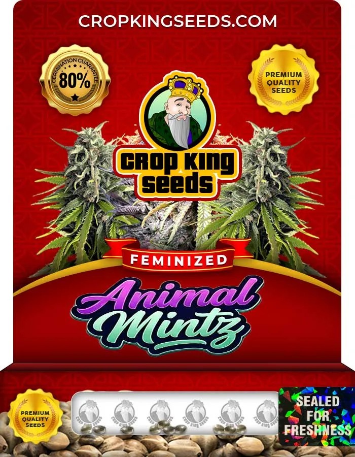 Animal Mintz Strain Feminized Seeds