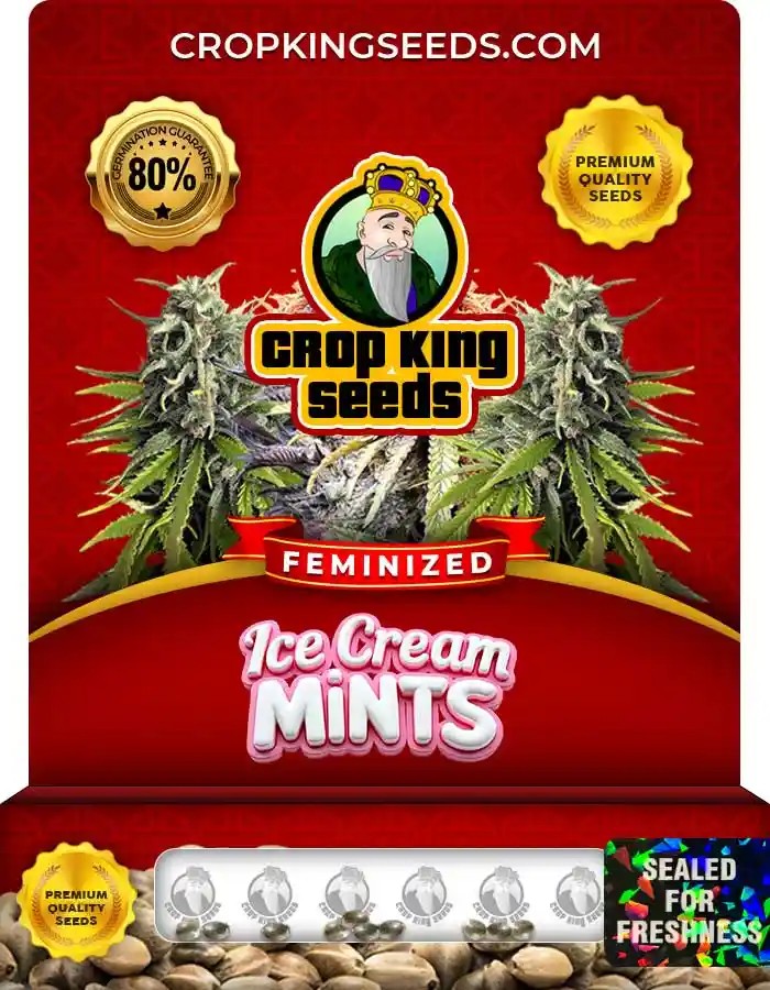 Ice Cream Mints Strain Feminized Marijuana Seeds