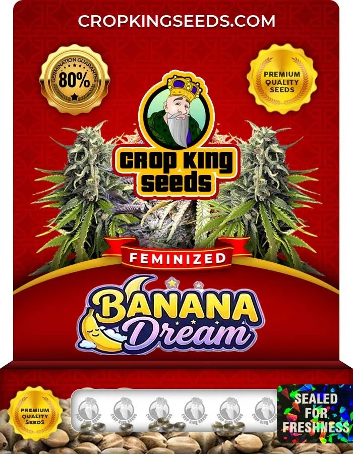 Banana Dream Strain Feminized Seeds