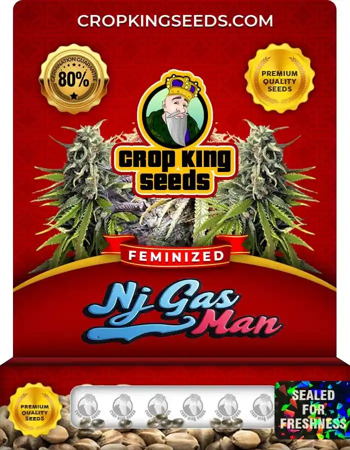NJ Gas Man Strain Feminized Marijuana Seeds