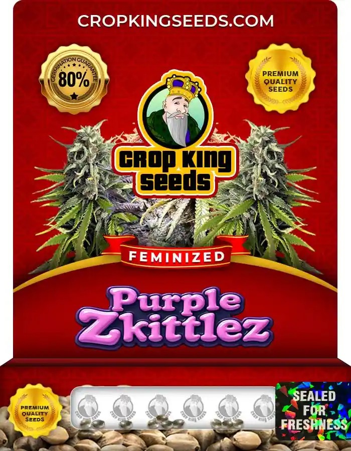 Purple Zkittlez Strain Feminized Marijuana Seeds