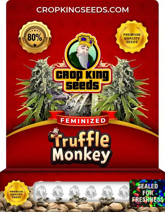 Truffle Monkey Strain Feminized Marijuana Seeds