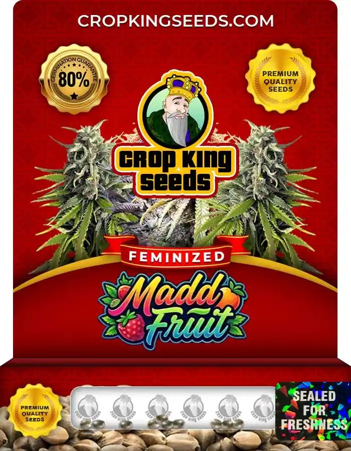 Madd Fruit Strain Feminized Seeds
