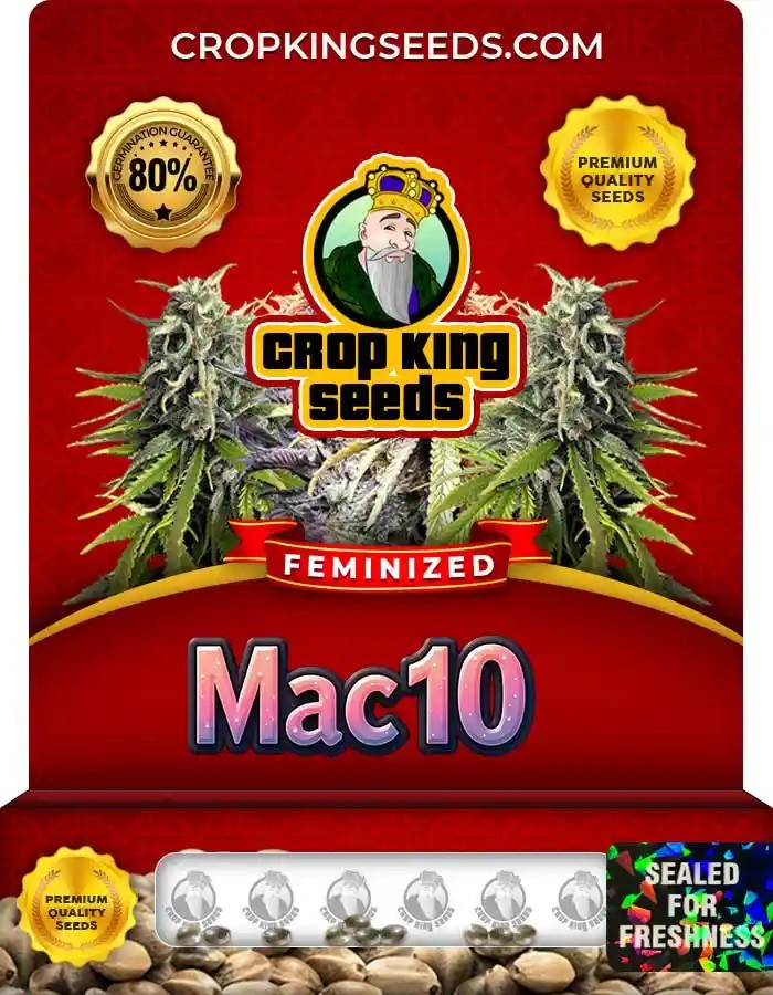 MAC 10 Strain Feminized Marijuana Seeds
