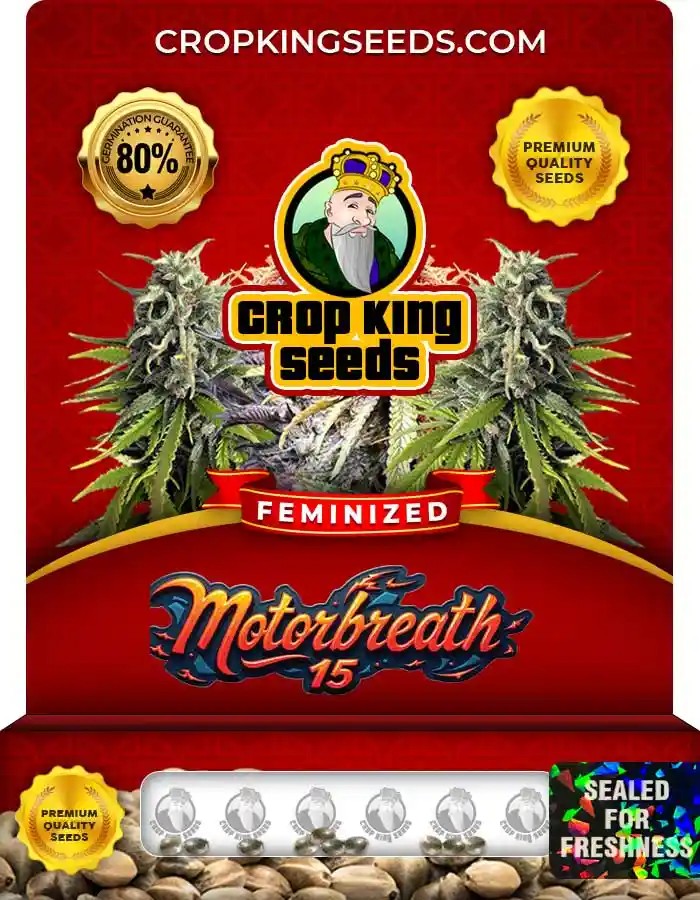 Motorbreath 15 Strain Feminized Marijuana Seeds