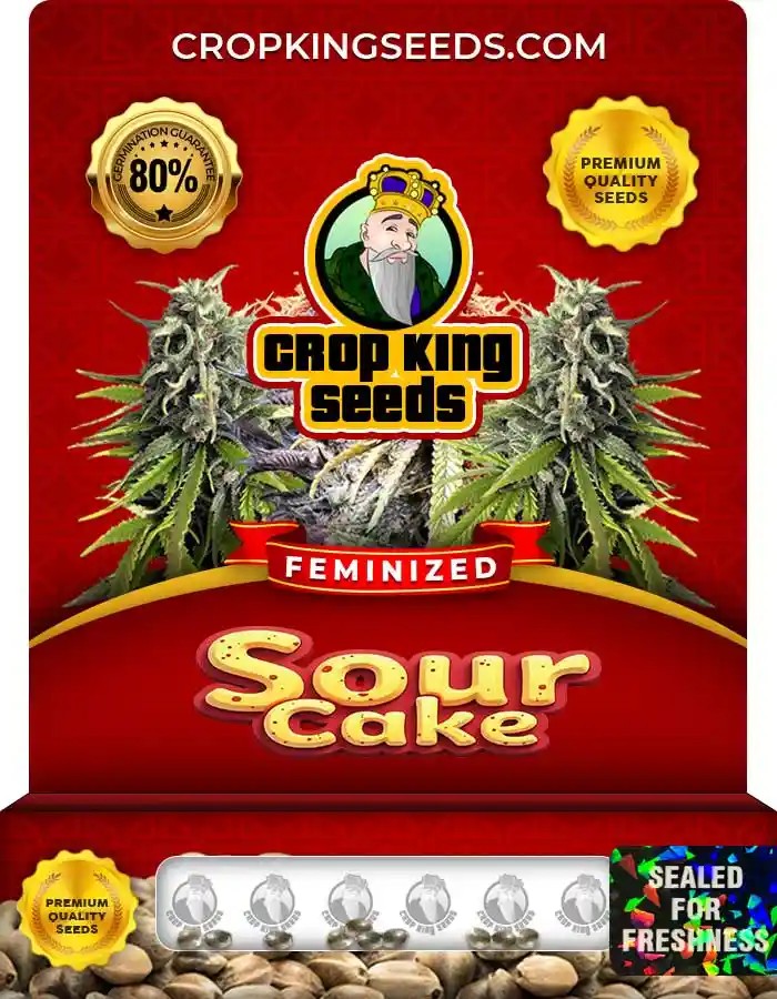 Sour Cake Feminized Seeds