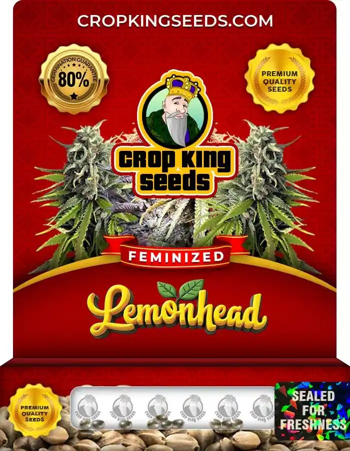 Lemonhead Strain Feminized Marijuana Seeds