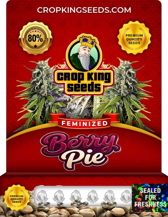 Berry Pie Strain Feminized Seeds