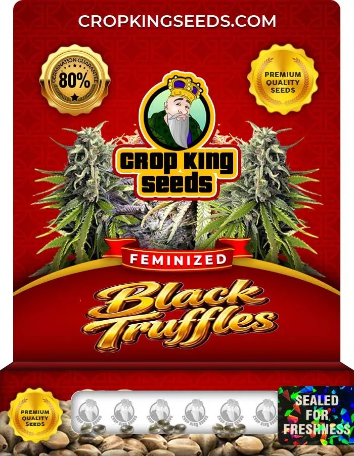 Black Truffles Strain Feminized Seeds