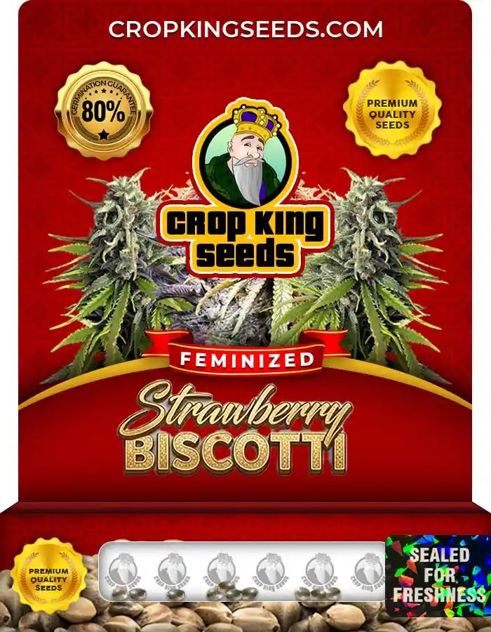 Strawberry Biscotti Feminized Seeds