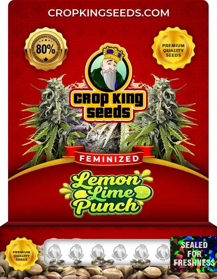 Lemon Lime Punch Strain Feminized Marijuana Seeds