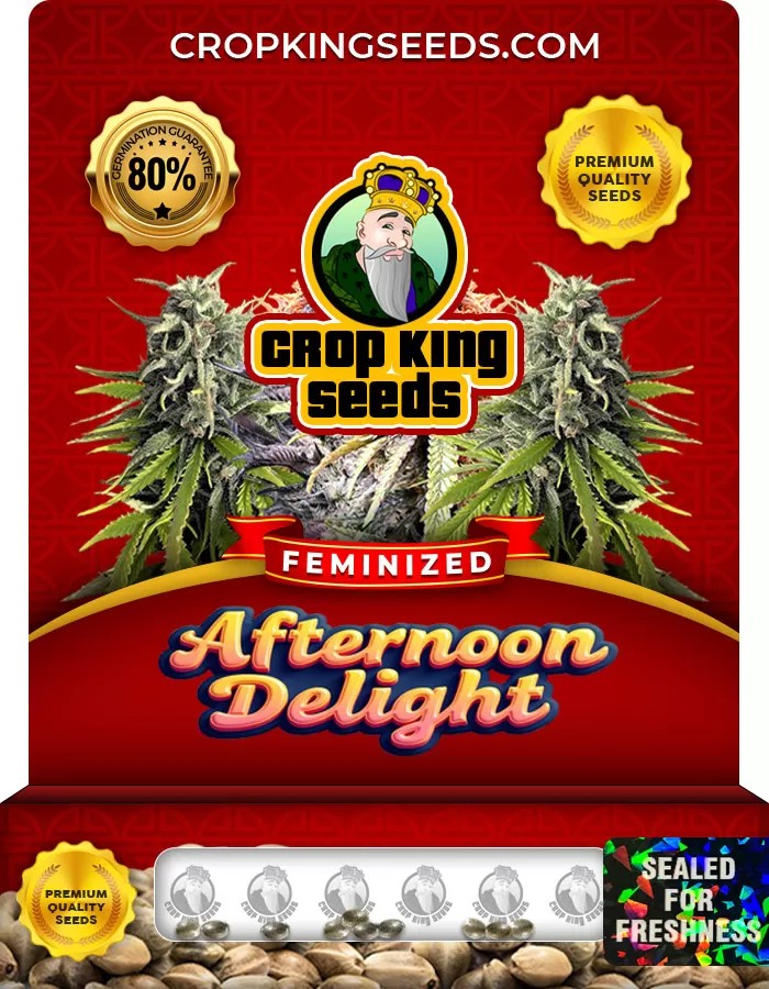 Afternoon Delight Feminized Marijuana Seeds