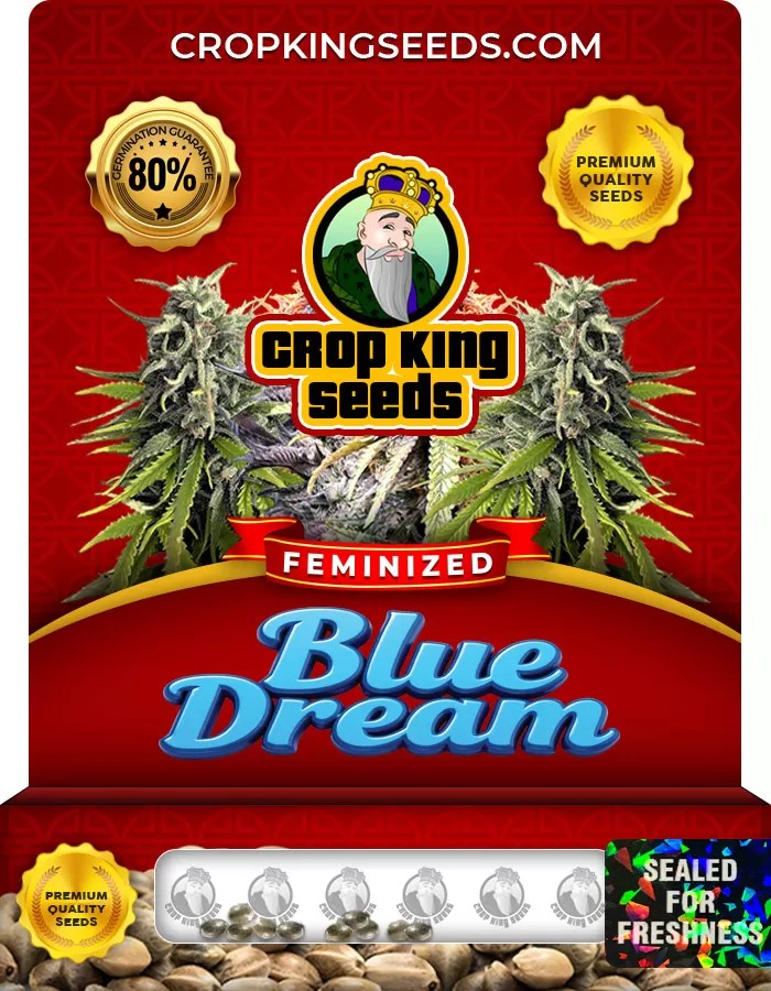 Blue Dream Feminized Marijuana Seeds
