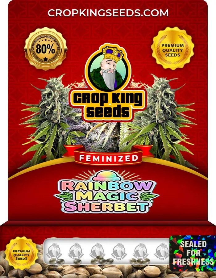 Rainbow Magic Sherbet Strain Feminized Seeds