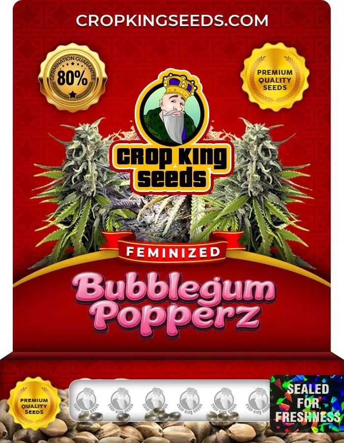 Bubblegum Popperz Strain Feminized Marijuana Seeds
