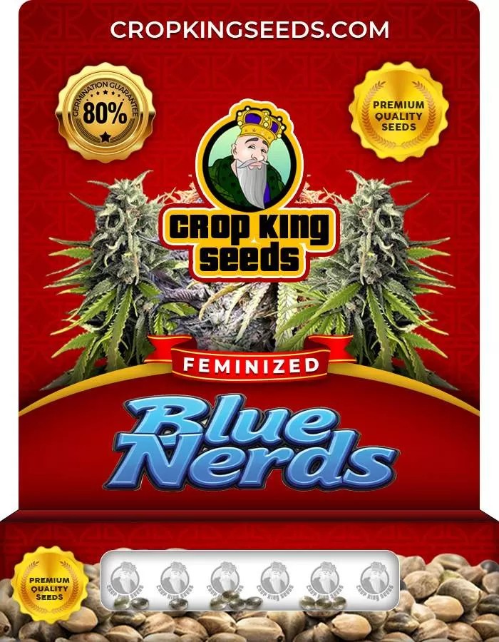 Blue Nerds Strain Feminized Marijuana Seeds