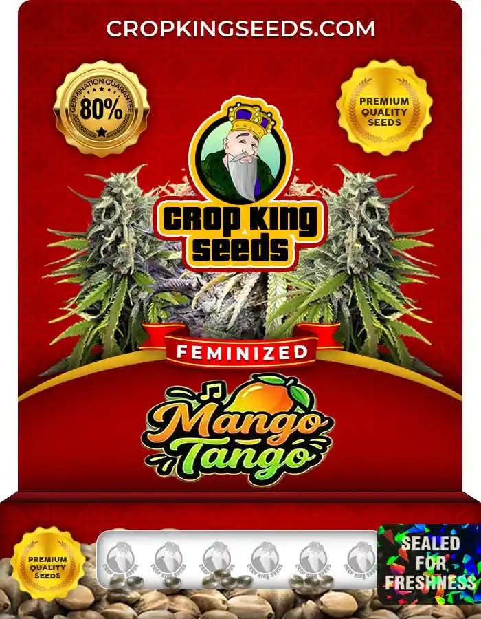Mango Tango Strain Feminized Marijuana Seeds