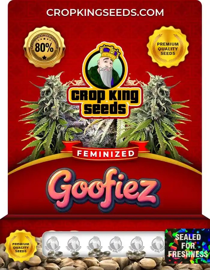 Goofiez Strain Feminized Marijuana Seeds