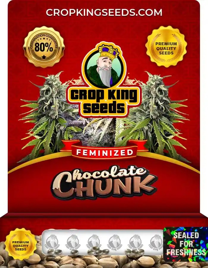Chocolate Chunk Feminized Marijuana Seeds
