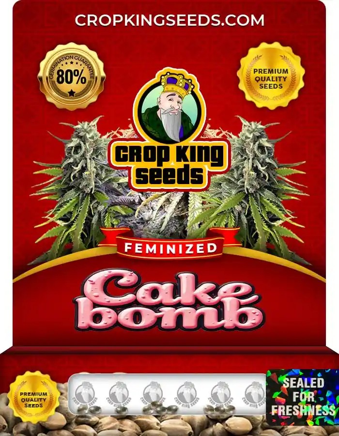 Cake Bomb Strain Feminized Marijuana Seeds